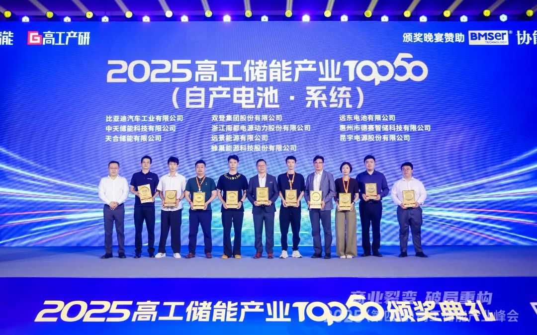 再獲殊榮！德賽電池榮登2025高工儲(chǔ)能產(chǎn)業(yè)“儲(chǔ)能電池·系統(tǒng)榜單TOP10”